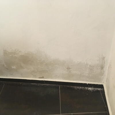 Odstránenie vzlínajúcej vlhkosti a plesne na prízemí budovy