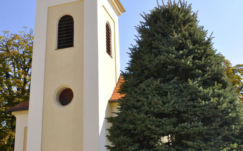 Izolácia vysušenia kaplnka sv. Vojtecha v Jivne systémom DryPol®