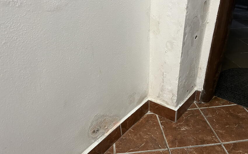 Odstránenie vlhkosti prístojom DryPol® 30m v obci Teplá - #1