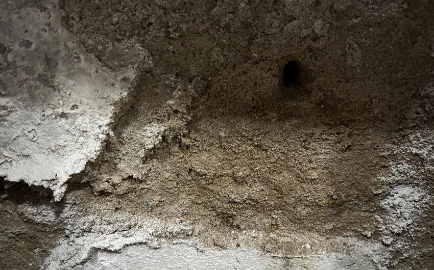 V Benátkach pri Hradca Králové vysušujeme veľmi vlhkú pivnicu. - #1