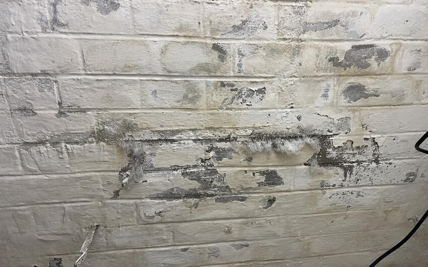 Vysušujeme pivnicu bytového domu v Prahe - #1