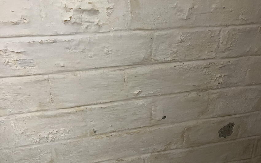 Vysušujeme pivnicu bytového domu v Prahe - #3