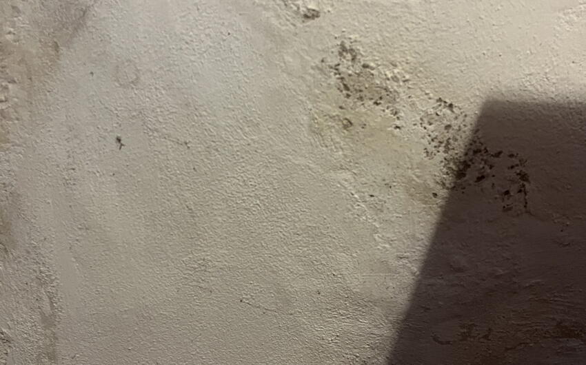 V Hřiměždicích vysušujeme 80cm hrubé murivo rodinného domu. - #2