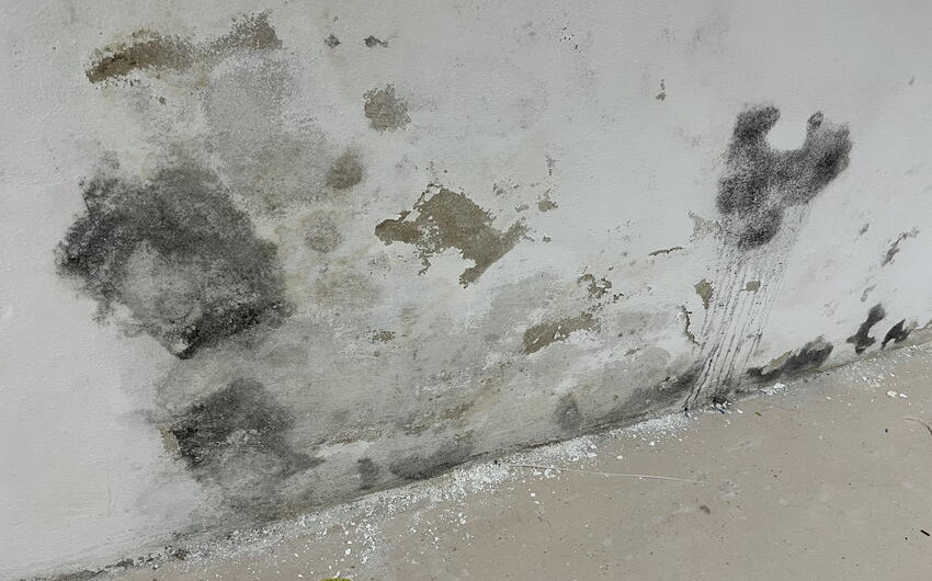 V Kadani vysušujeme pivničné priestory veľkej škôlky. - #3