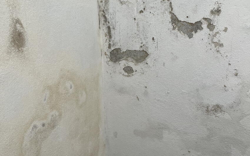 Odvlhčujeme suterén nájomného domu v Prahe. - #2