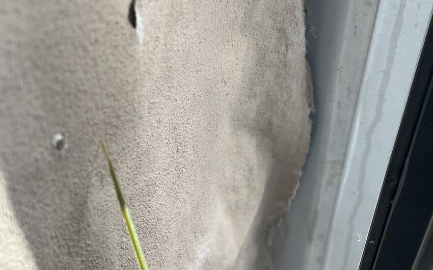 V Prahe vysušujeme jednu stenu domu orientovanú do ulice. - #3