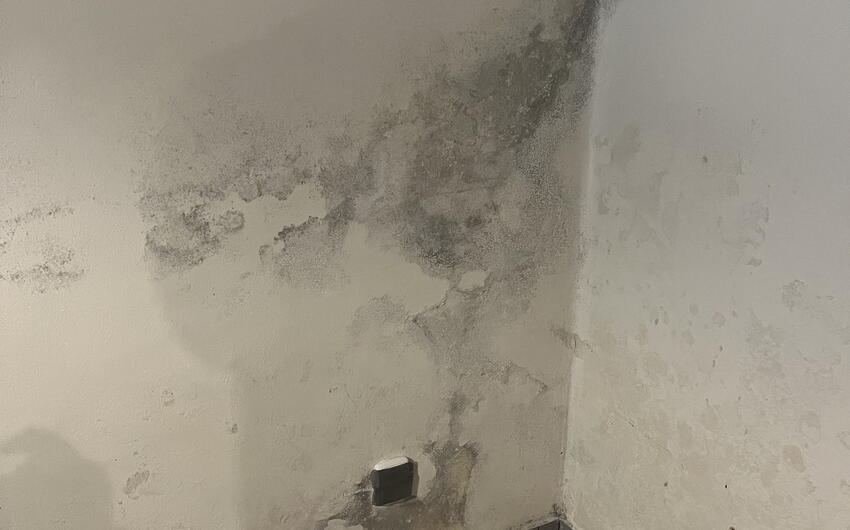 Odvlhčujeme 150 rokov starú usadlosť v Hornej Bukovine. - #2