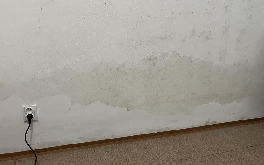 V Prahe vysušujeme jeden z bytov väčšieho domu z pieskovca a tehál - #2