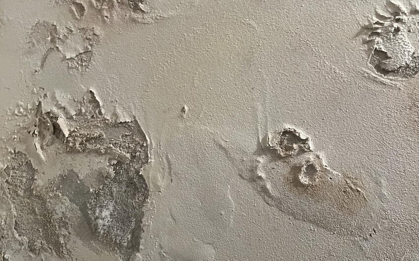 Odvlhčujeme bytový dom v Prahe, kde je celá pivnica mokrá - #5