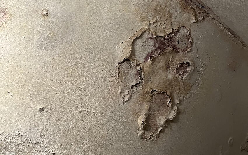 Odvlhčujeme bytový dom v Prahe, kde je celá pivnica mokrá - #6