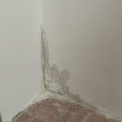 V Pardubiciach vysušujeme rodinný dom