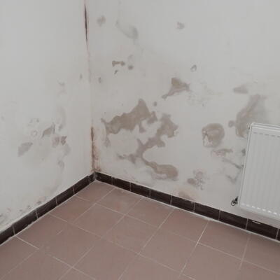 Vysušenie muriva v kultúrnom dome v Hevlíne pomocou odvlhčovača Drypol